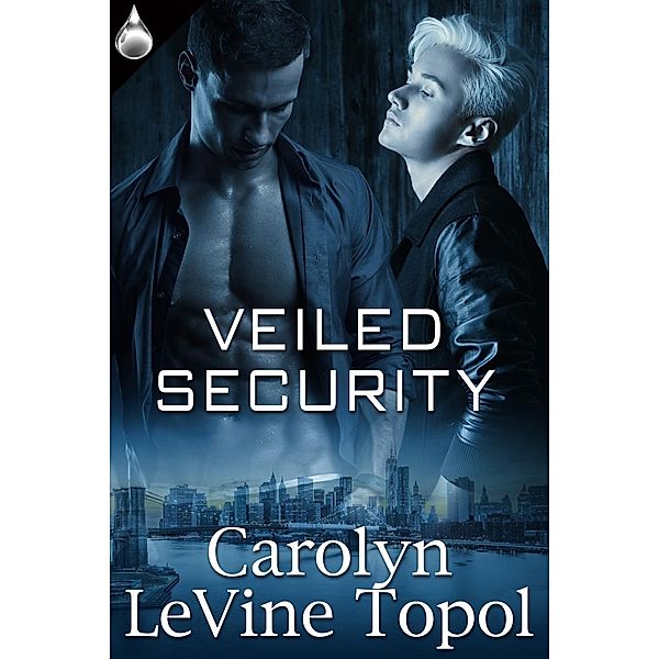 Veiled Security, Carolyn Levine Topol