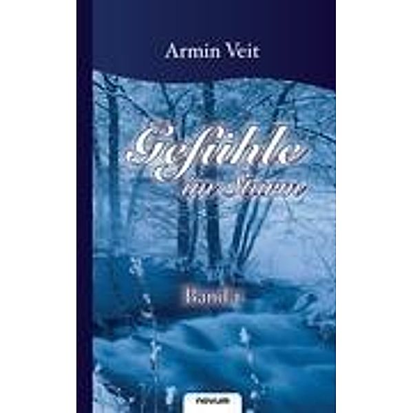 Veit, A: Gefühle im Sturm - Band 1, Armin Veit