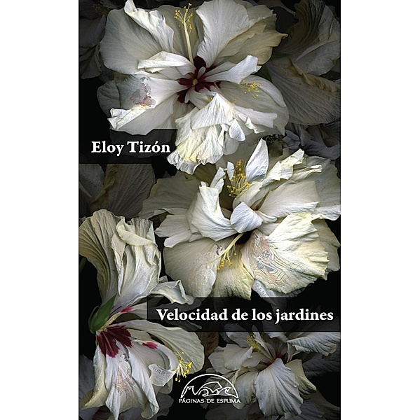 Velocidad de los jardines / Voces / Literatura Bd.237, Eloy Tizón