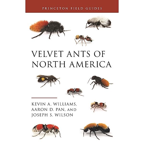 Velvet Ants of North America / Princeton Field Guides Bd.145, Kevin Williams, Aaron D. Pan, Joseph S. Wilson