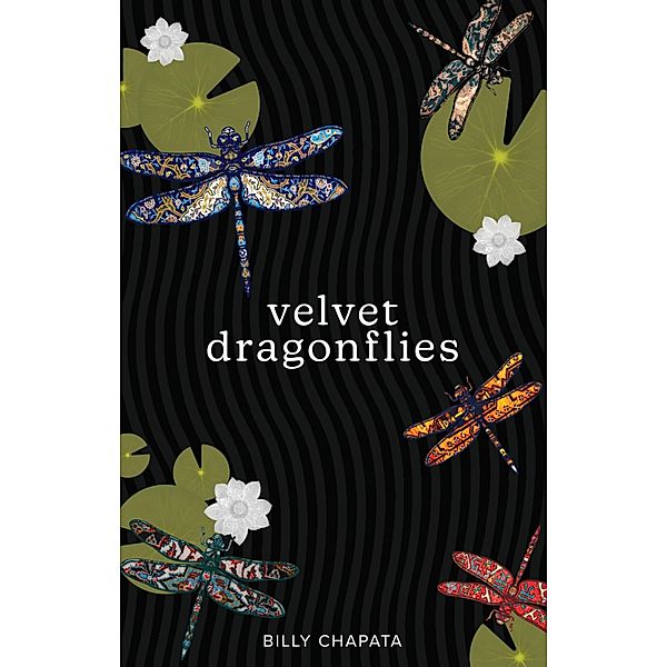 Velvet Dragonflies / Andrews McMeel Publishing, Billy Chapata