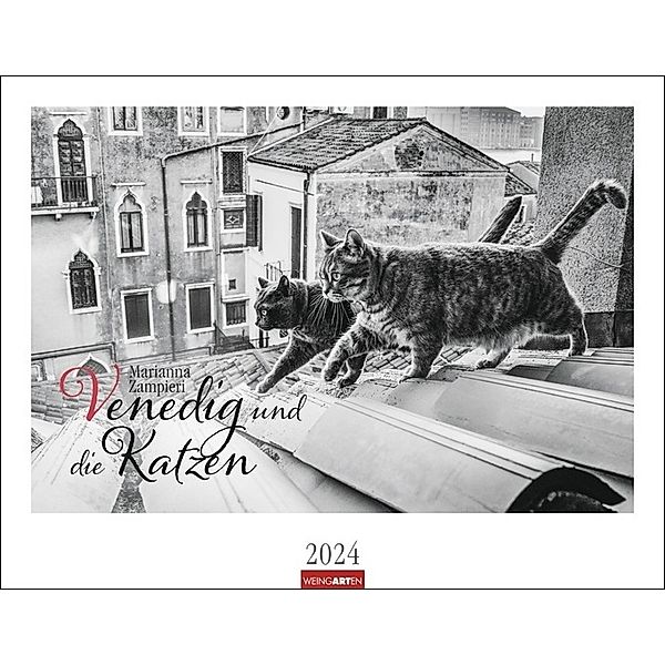 Venedig und die Katzen Kalender 2024. Samtpfoten in der Lagunenstadt, eingefangen in einem großen Wandkalender in schwarz-weiß. Hochwertiger Fotokalender im Großformat für Katzenliebhaber., eingefangen in einem großen Wandkalender in schwar Venedig und die Katzen Kalender 2024. Samtpfoten in der Lagunenstadt