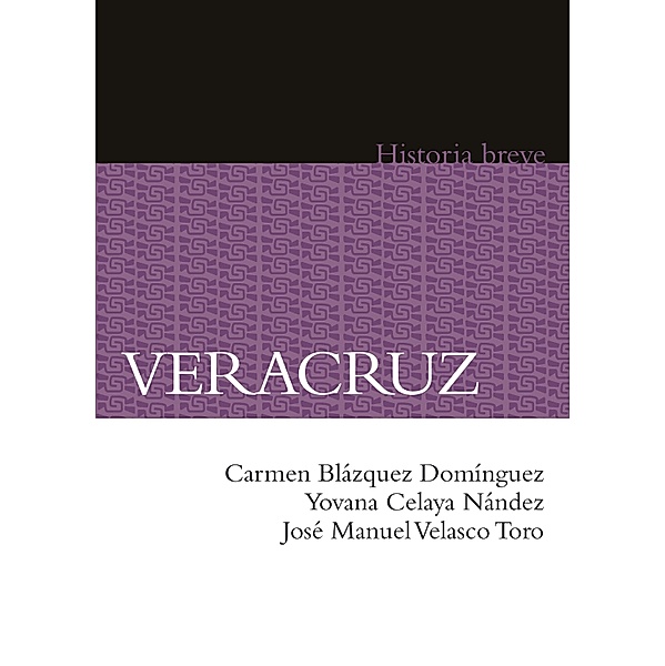 Veracruz, Carmen Blázquez Domínguez, Yovana Celaya Nández, José Manuel Velasco Toro, Alicia Hernández Chávez
