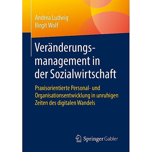 Veränderungsmanagement in der Sozialwirtschaft, Andrea Ludwig, Birgit Wolf