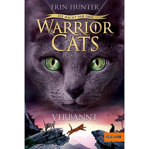 Verbannt / Warrior Cats Staffel 3 Bd.3, Erin Hunter