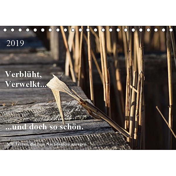 Verblüht, Verwelkt... ...und doch so schön! (Tischkalender 2019 DIN A5 quer), Marlise Gaudig