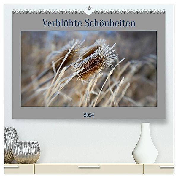 Verblühte Schönheiten (hochwertiger Premium Wandkalender 2024 DIN A2 quer), Kunstdruck in Hochglanz, Petra Spiess
