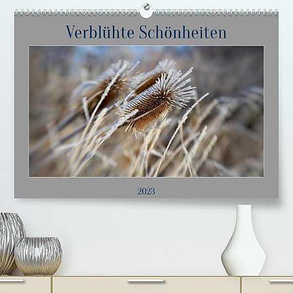 Verblühte Schönheiten (Premium, hochwertiger DIN A2 Wandkalender 2023, Kunstdruck in Hochglanz), Petra Spieß