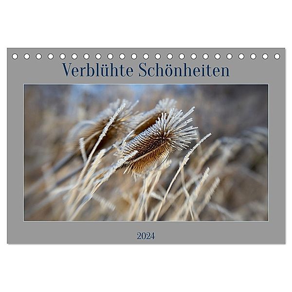 Verblühte Schönheiten (Tischkalender 2024 DIN A5 quer), CALVENDO Monatskalender, Petra Spieß