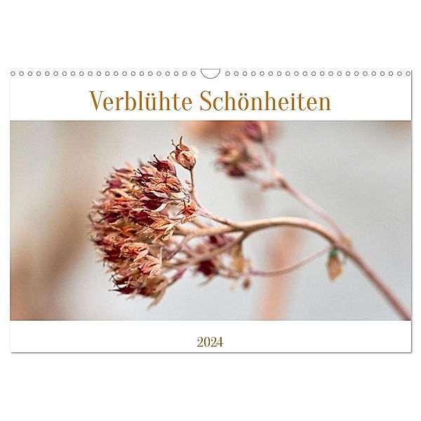 Verblühte Schönheiten (Wandkalender 2024 DIN A3 quer), CALVENDO Monatskalender, Petra Spiess