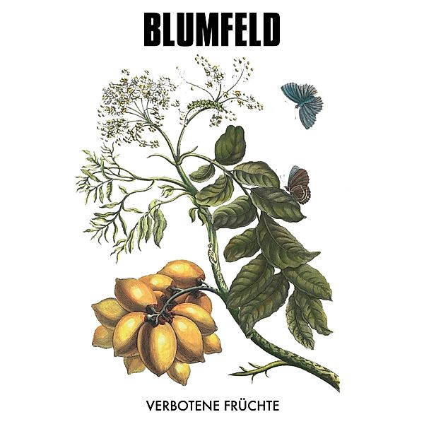 Verbotene Früchte (New Vinyl Edition), Blumfeld