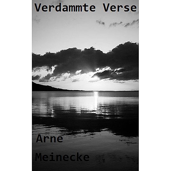 Verdammte Verse, Arne Meinecke