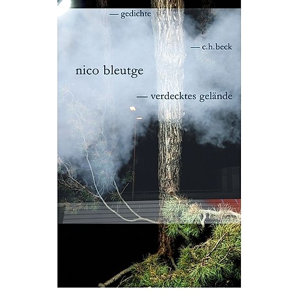 Verdecktes Gelände, Nico Bleutge