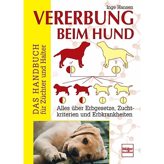 Vererbung beim Hund Buch von Inge Hansen versandkostenfrei - Weltbild.ch
