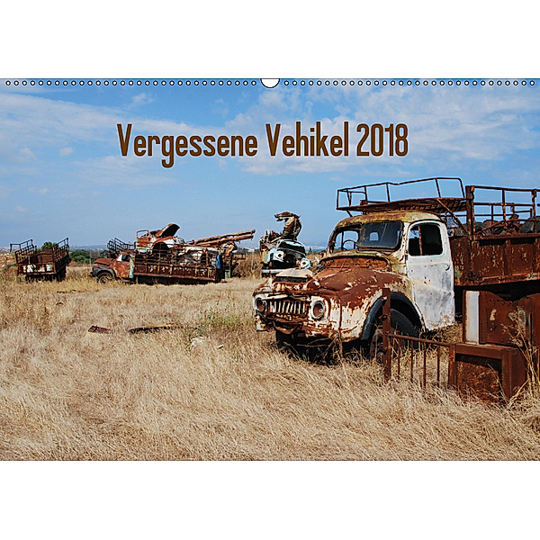 Vergessene Vehikel 2018 (Wandkalender 2018 DIN A2 quer), Dirk Herms