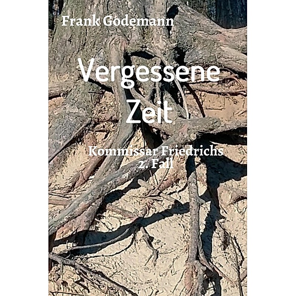 Vergessene Zeit / Kommissar Friedrich Bd.2, Frank Godemann