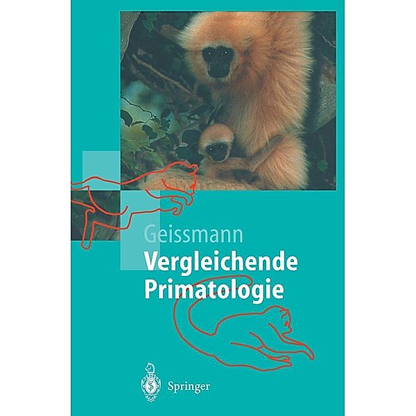 Vergleichende Primatologie / Springer-Lehrbuch, Thomas Geissmann