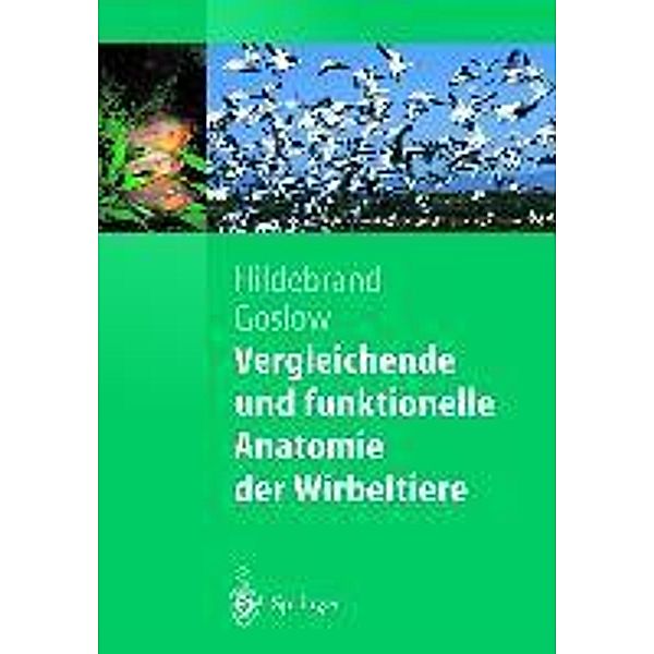 Vergleichende und funktionelle Anatomie der Wirbeltiere / Springer-Lehrbuch, Milton Hildebrand, George Goslow