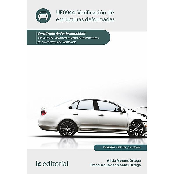 Verificación de estructuras deformadas. TMVL0309, Alicia Montes Ortega, Francisco Javier Montes Ortega