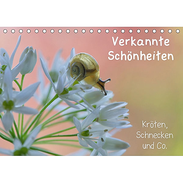 Verkannte Schönheiten - Kröten, Schnecken und Co. (Tischkalender 2020 DIN A5 quer), Karin Berger
