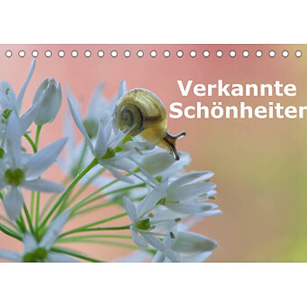 Verkannte Schönheiten (Tischkalender 2022 DIN A5 quer), Karin Berger (Kabefa)