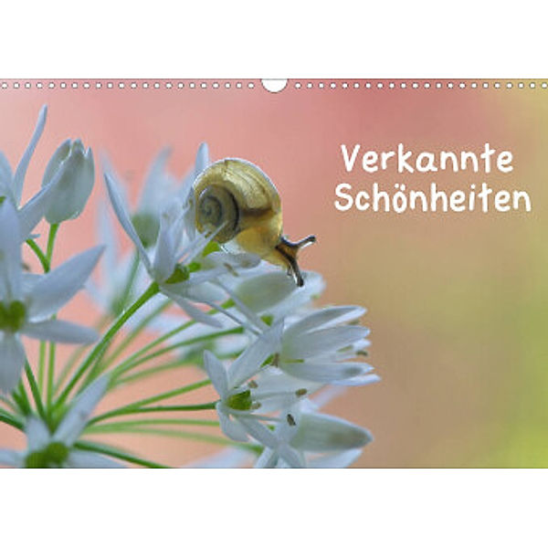 Verkannte Schönheiten (Wandkalender 2022 DIN A3 quer), Karin Berger (Kabefa)