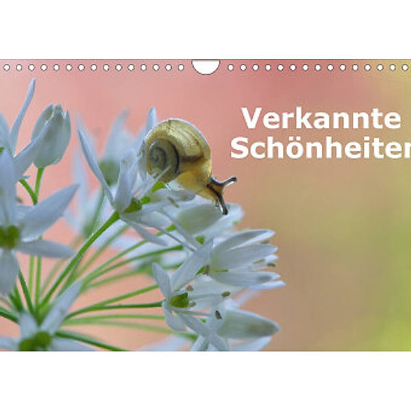 Verkannte Schönheiten (Wandkalender 2022 DIN A4 quer), Karin Berger (Kabefa)