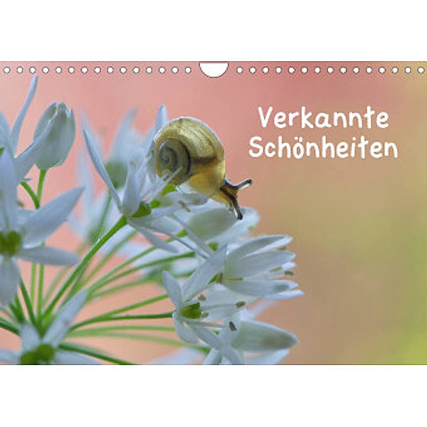 Verkannte Schönheiten (Wandkalender 2022 DIN A4 quer), Karin Berger (Kabefa)