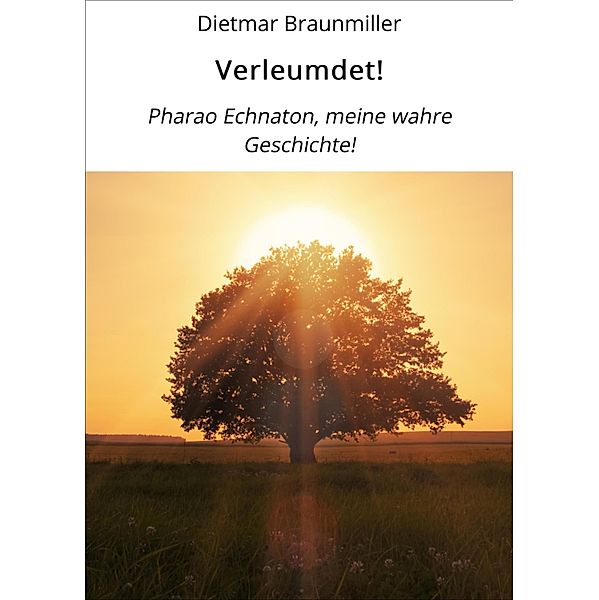 Verleumdet!, Dietmar Braunmiller