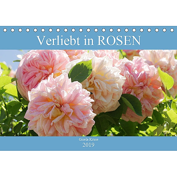 Verliebt in Rosen (Tischkalender 2019 DIN A5 quer), Gisela Kruse