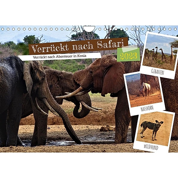 Verrückt nach Safari Verrückt nach Abenteuer in Kenia (Wandkalender 2023 DIN A4 quer), Susan Michel