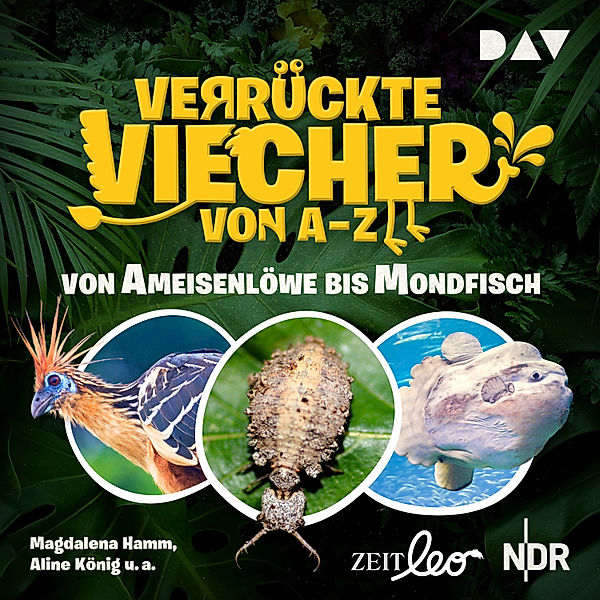 Verrückte Viecher von A bis Z - 1 - Verrückte Viecher von A bis Z – Teil 1: Von Ameisenlöwe bis Mondfisch, Aline König, Magdalena Hamm