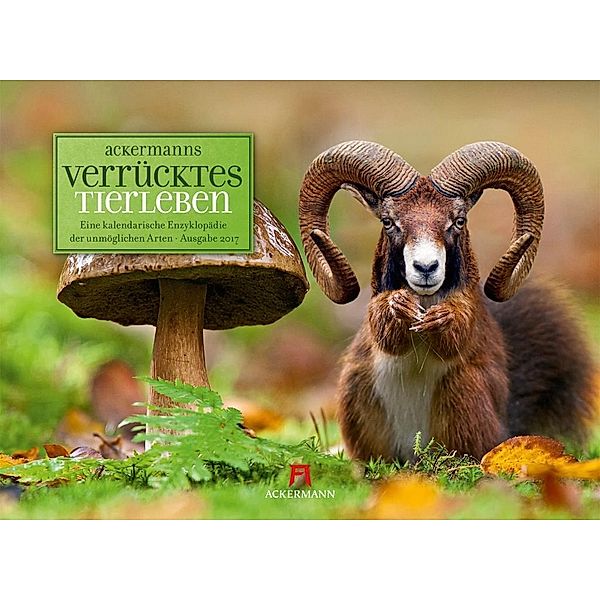 Verrücktes Tierleben 2017