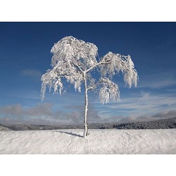 Verschneiter Baum - 200 Teile (Puzzle)