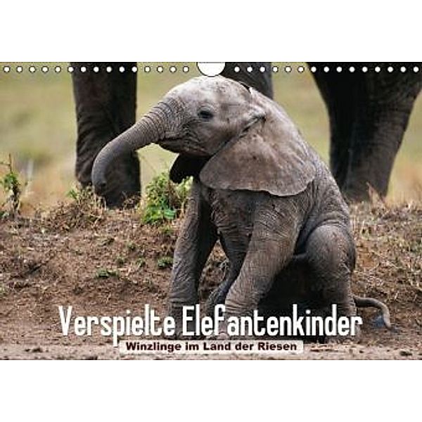 Verspielte Elefantenkinder Winzlinge im Land der Riesen (Wandkalender 2015 DIN A4 quer), Text, Art & Konzept