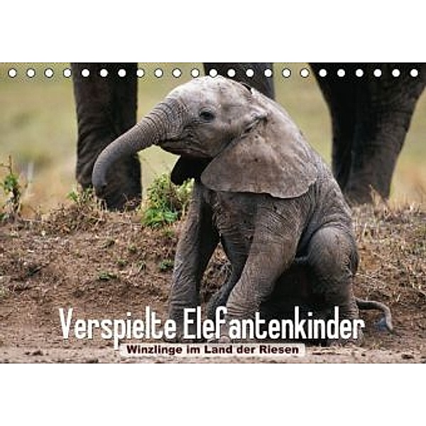 Verspielte Elefantenkinder Winzlinge im Land der Riesen (Tischkalender 2015 DIN A5 quer), Text, Art & Konzept