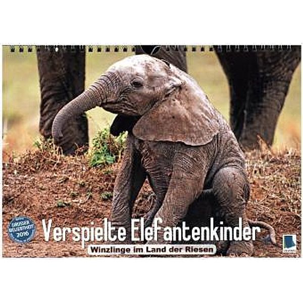 Verspielte Elefantenkinder: Winzlinge im Land der Riesen (Wandkalender 2016 DIN A4 quer), Calvendo