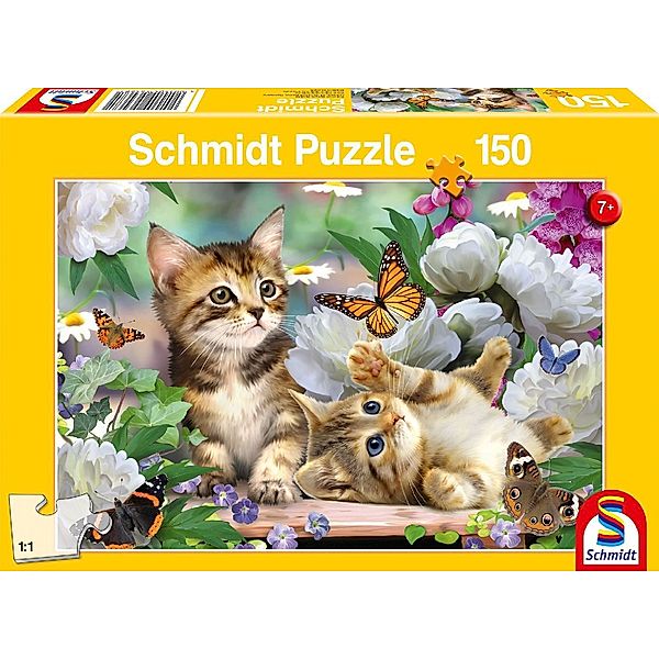 SCHMIDT SPIELE Verspielte Katzenbabys