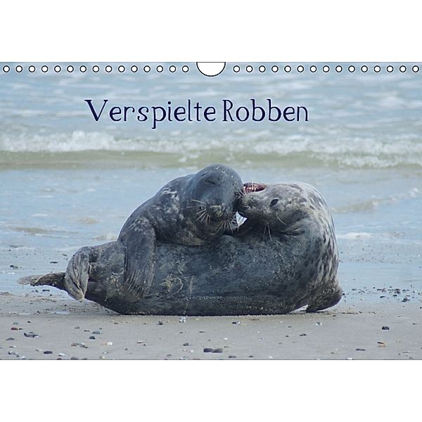 Verspielte Robben (Wandkalender 2014 DIN A4 quer), kattobello