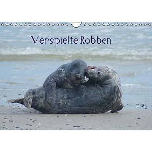 Verspielte Robben (Wandkalender 2016 DIN A4 quer), Kattobello