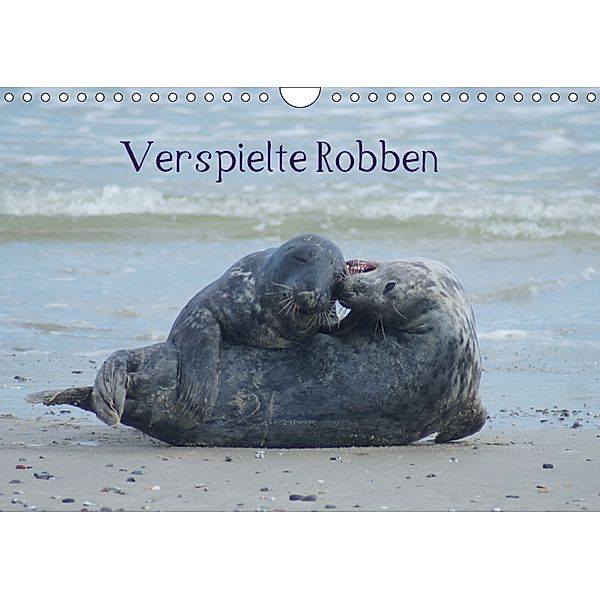 Verspielte Robben (Wandkalender 2018 DIN A4 quer), kattobello