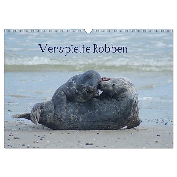 Verspielte Robben (Wandkalender 2024 DIN A3 quer), CALVENDO Monatskalender, Kattobello