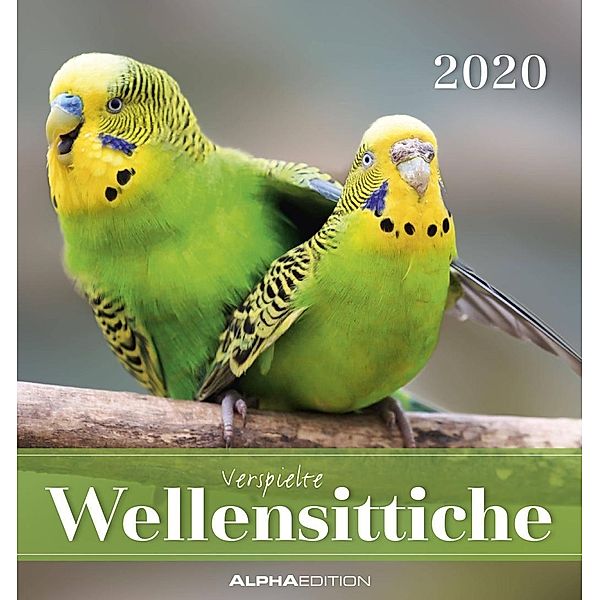 Verspielte Wellensittiche 2020, ALPHA EDITION