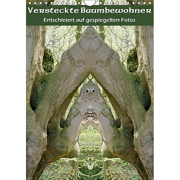 Versteckte Baumbewohner (Wandkalender 2019 DIN A4 hoch), Renate Strang