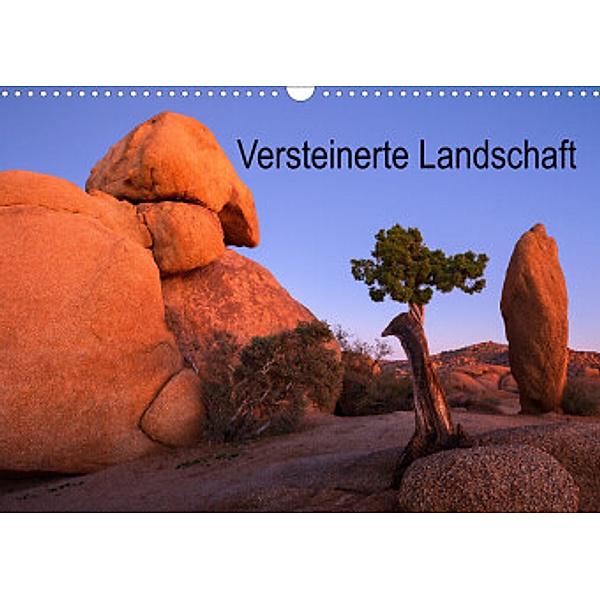 Versteinerte Landschaft (Wandkalender 2022 DIN A3 quer), Jeanny Müller