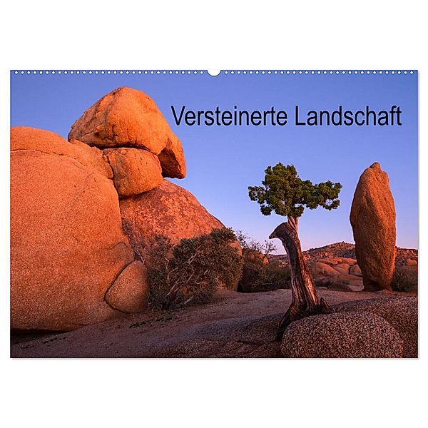 Versteinerte Landschaft (Wandkalender 2024 DIN A2 quer), CALVENDO Monatskalender, Jeanny Müller
