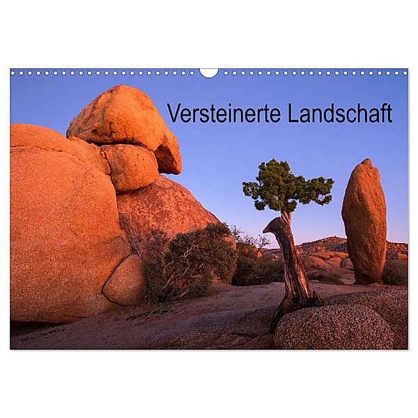 Versteinerte Landschaft (Wandkalender 2024 DIN A3 quer), CALVENDO Monatskalender, Jeanny Müller