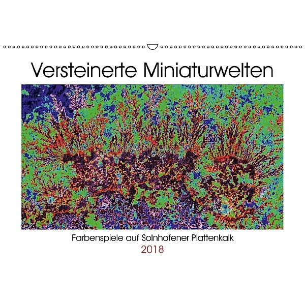 Versteinerte Miniaturwelten - Farbenspiele auf Solnhofener Plattenkalk (Wandkalender 2018 DIN A2 quer), Dietmar Leitner