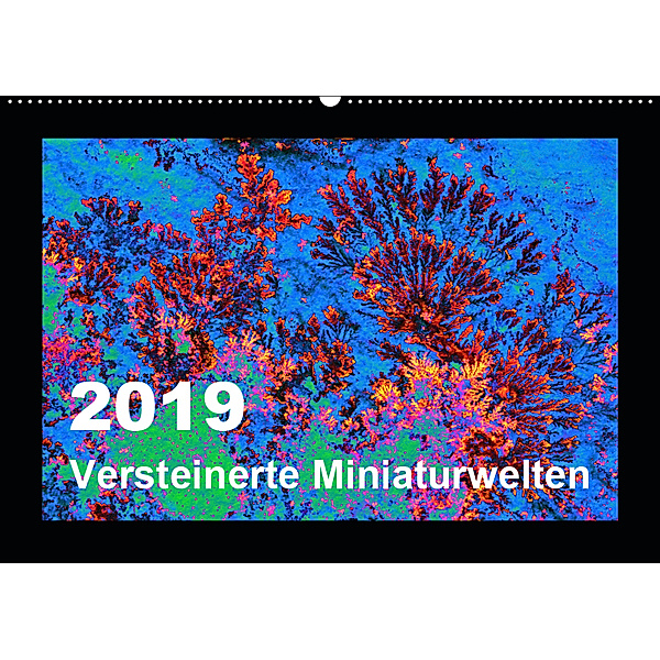 Versteinerte Miniaturwelten - Farbenspiele auf Solnhofener Plattenkalk (Wandkalender 2019 DIN A2 quer), Dietmar Leitner