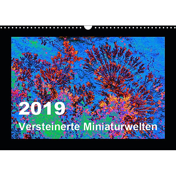 Versteinerte Miniaturwelten - Farbenspiele auf Solnhofener Plattenkalk (Wandkalender 2019 DIN A3 quer), Dietmar Leitner